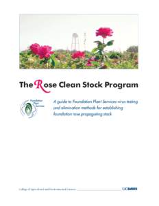 The  R ose Clean Stock Program A guide to Foundation Plant Services virus testing and elimination methods for establishing foundation rose propagating stock
