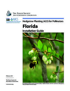 Hedgerow Plantingfor Pollinators  Florida Installation Guide