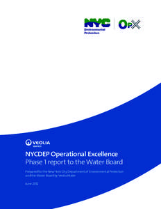 NYCDEP Operational Excellence Phase 1 report to the Water Board Prepared for the New York City Department of Environmental Protection and the Water Board by Veolia Water June 2012