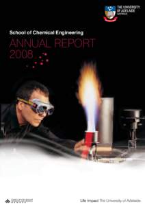 chemical_eng_report_2008.indd