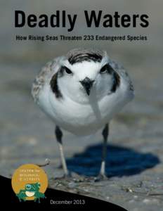 Fauna of Asia / Reptiles of Australia / Archie Carr National Wildlife Refuge / Loggerhead sea turtle / Green sea turtle / Endangered species / Delmarva fox squirrel / Tropical hardwood hammock / Key West National Wildlife Refuge / Conservation / Herpetology / Sea turtles