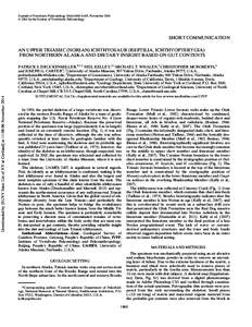 Journal of Vertebrate Paleontology 34(6):1460–1465, November 2014 Ó 2014 by the Society of Vertebrate Paleontology SHORT COMMUNICATION AN UPPER TRIASSIC (NORIAN) ICHTHYOSAUR (REPTILIA, ICHTHYOPTERYGIA) FROM NORTHERN A