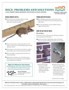 MICE: PROBLEMS AND SOLUTIONS A FACTSHEET FROM MIDWEST PESTICIDE ACTION CENTER HOUSE MOUSE FACTS: A house mouse is usually a light brownish grey, 3 inches long with large ears