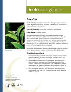 Green Tea This fact sheet provides basic information about green tea—common names, what the science says, potential side effects and cautions, and resources for more information.  Common Names—green tea, Chinese tea,