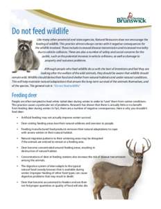 Do not feed wildlife Like many other provincial and state agencies, Natural Resources does not encourage the feeding of wildlife. This practice almost always carries with it negative consequences for the wildlife involve
