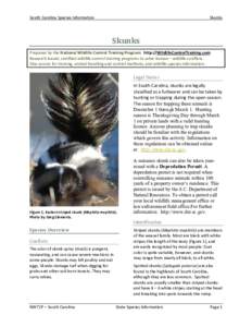 South Carolina Species Information  Skunks Skunks Prepared by the National Wildlife Control Training Program. http://WildlifeControlTraining.com