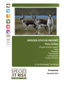 SPECIES STATUS REPORT Peary Caribou (Rangifer tarandus pearyi) Tuktu Tuktuinak Tuktuaraaluit