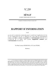 Rapport gouvernance Grenelle I et II