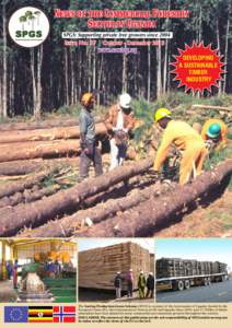 Teak / Plantation / Logging / Tree planting / Lumber / Tree farm / Wood fuel / Deforestation / Plant nursery / Forestry / Land management / Land use