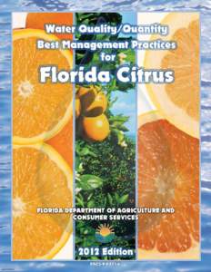 Water / Geography of Florida / Natural environment / Hydrology / Environmental engineering / Aquatic ecology / Stormwater management / Water pollution / Citrus production / Citrus / Everglades / St. Johns River