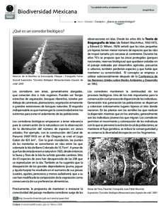 “La soledad vivifica, el aislamiento mata”  Biodiversidad Mexicana Joseph Roux