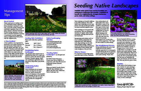 Seeding Native Landscapes Management Tips Establish native plants from seed for beautiful, low maintenance landscapes that provide a multitude of