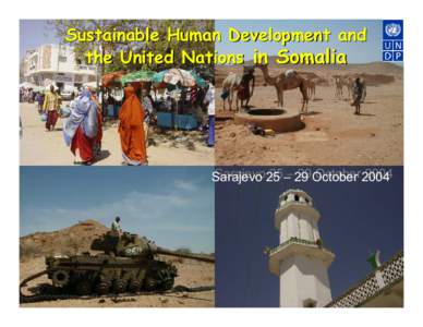 Microsoft PowerPoint - UNDP Somalia Sarajevo 2810