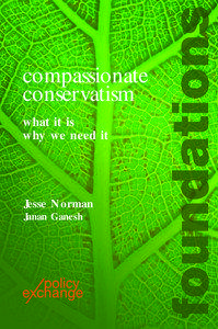 compassionate conservatism what it is