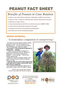 PEANUT FACT SHEET Benefits of Peanuts in Cane Rotation Break in cane monoculture (reduction in pathogens, healthier cane stools) Inputs of “free” nitrogen for following cane crop and improved soil structure Potential
