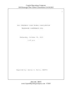 Capital Reporting Company DOI Strategic Plan Tribal Consultation[removed]DOI STRATEGIC PLAN TRIBAL CONSULTATION TELEPHONE CONFERENCE CALL