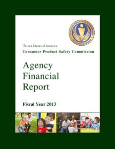 FY 2013 Agency Financial Report (AFR)