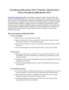 ~ Mycoplasma galliscepticum (MG): Frequently Asked Questions ~ What is Mycoplasma galliscepticum (MG)? Mycoplasma galliscepticum (MG) causes disease in chickens, turkeys, and game birds. The organism is transmitted durin