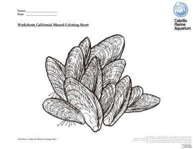 Name: _______________________ Date: _______________________ Worksheet: California Mussel Coloring Sheet  Worksheet: California Mussel Coloring Sheet