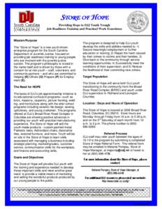STORE OF HOPE Providing Hope to DJJ Youth Trough Job Readiness Training and Practical Work Experience Mission/Purpose The “Store of Hope” is a new youth-driven