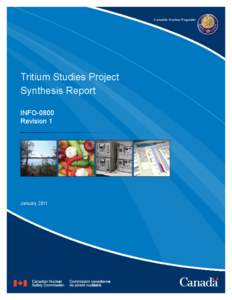 Tritium Studies Project Synthesis Report