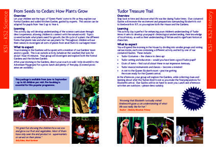 Tudor Treasure Trail  Overview Overview