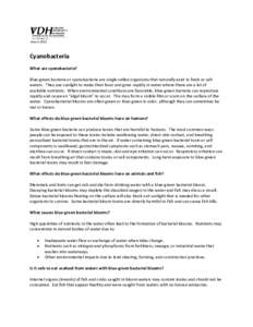 March[removed]Cyanobacteria What are cyanobacteria? Blue-green bacteria or cyanobacteria are single-celled organisms that naturally exist in fresh or salt waters. They use sunlight to make their food and grow rapidly in wa