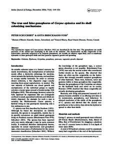 The true and false gonophores of Coryne epizoica and its hell colonizing mechanisms