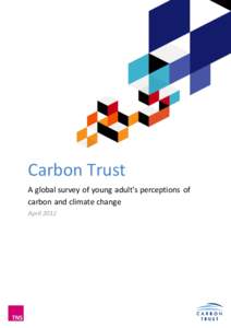 Carbon Trust A global survey of young adult’s perceptions of carbon and climate change April 2012  Methodology