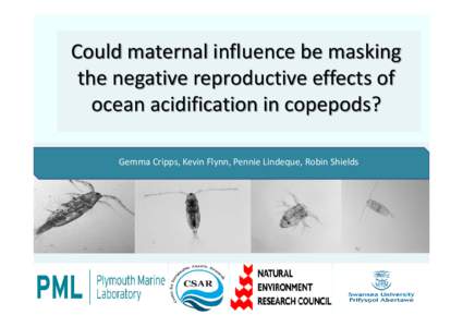 Could maternal influence be masking  the negative reproductive effects of  ocean acidification in copepods? Gemma Cripps, Kevin Flynn, Pennie Lindeque, Robin Shields   Variation in species reprod