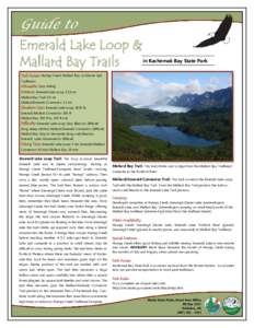 Guide to  Emerald Lake Loop & Mallard Bay Trails  in Kachemak Bay State Park