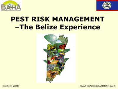 PEST RISK MANAGEMENT –The Belize Experience KENRICK WITTY  PLANT HEALTH DEPARTMENT, BAHA