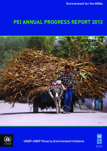 Environment for the MDGs  PEI ANNUAL PROGRESS REPORT 2013 UNDP-UNEP Poverty-Environment Initiative Empowered lives.