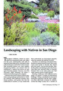 An established landscape mixing California natives with plants from other mediterranean climates. Author’s photographs  Landscaping with Natives in San Diego GREG RUBIN  T