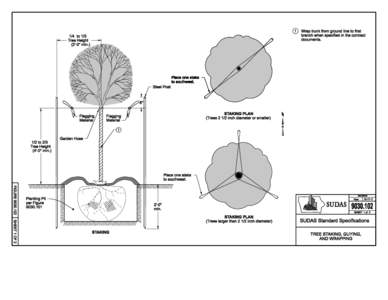 Figure[removed]Tree Staking, Guying, and Wrapping