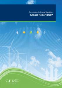 Energy in the Republic of Ireland / Electric power distribution / Commission for Energy Regulation / Republic of Ireland / Bord Gáis / Electricity sector in Ireland / ESB Group / Smart meter / Electricity market / State-sponsored bodies of the Republic of Ireland / Energy / Electric power