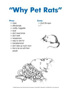 “Why Pet Rats” Pros: î clean î affectionate î cuddly, huggable î loyal