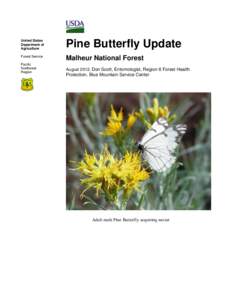 United States Department of Agriculture Pine Butterfly Update