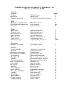 THREATENED AND ENDANGERED SPECIES IN KENTUCKY (44 Species as of December 20, 2011) Animals Mammals Gray bat ^ Indiana bat