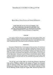 Naturalista sicil., S. IV, XXX (3-4), 2006, pp[removed]BRUNO MASSA, PAOLO FONTANA & FILIPPO M. BUZZETTI