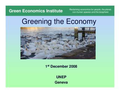 Year of birth missing / Industrial ecology / Natural resources / Resource economics / Green Economics Institute / Academia / Information / Green economy / Ecological economics / Environmental economics / Economics / Miriam Kennet