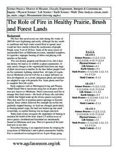 Wildfires / Ecological succession / Survival skills / Wildfire / Campfire / Controlled burn / Candle / Flame / Smoke / Fire / Heat transfer / Combustion