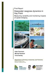 Nursery habitat / Marine habitats / Water / Seagrass / Dredging