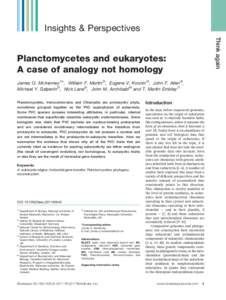 Planctomycetes and eukaryotes: A case of analogy not homology