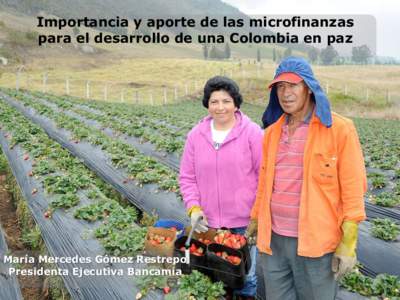 Importancia y aporte de las microfinanzas para el desarrollo de una Colombia en paz María Mercedes Gómez Restrepo Presidenta Ejecutiva Bancamía 1
