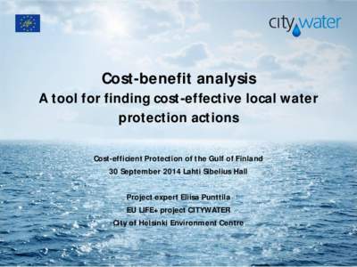 Cost-benefit analysis  A tool for finding cost-effective local water protection actions Cost-efficient Protection of the Gulf of Finland 30 September 2014 Lahti Sibelius Hall