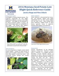 2016 Montana Seed Potato Late Blight Quick Reference Guide Jessica Rupp and Nina Zidack General Information: Late blight is a disease of great concern. The organism responsible for late blight,