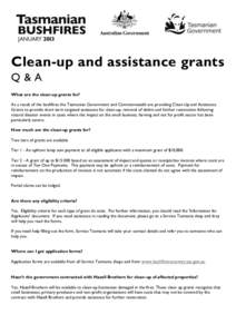 Clean-up and assistance grants Q&A What are the clean-up grants for? As a result of the bushfires the Tasmanian Government and Commonwealth are providing Clean-Up and Assistance Grants to provide short term targeted assi