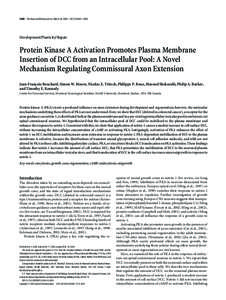 3040 • The Journal of Neuroscience, March 24, 2004 • 24(12):3040 –3050  Development/Plasticity/Repair Protein Kinase A Activation Promotes Plasma Membrane Insertion of DCC from an Intracellular Pool: A Novel