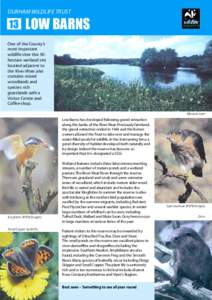 Durham Wildlife Trust / Witton-le-Wear / Rainton Meadows / River Wear / Tyne and Wear / Durham / County Durham / Geography of England / Counties of England